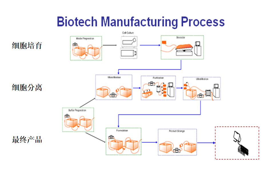 生物技术制造过程.jpg